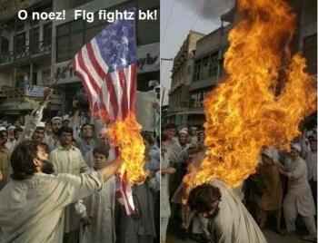 flag fights back.JPG