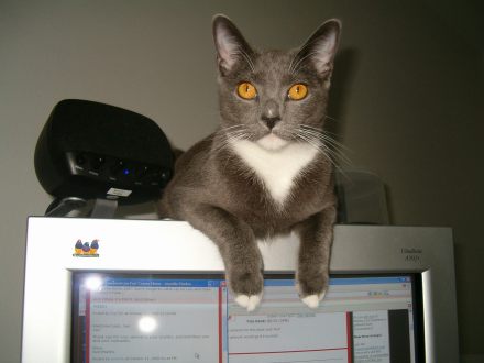daddys blog