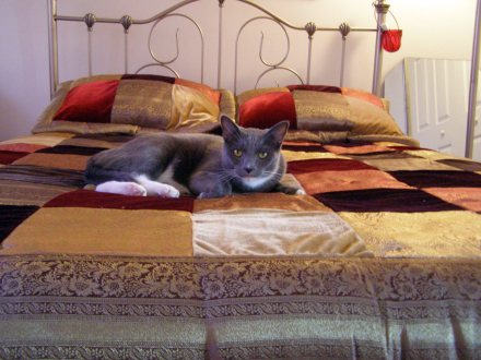I am queen of this bed.