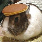 BunnyPancake