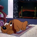 Sad Eyed Dog